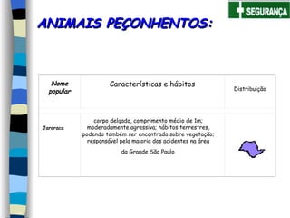 ANIMAIS PEÇONHENTOS: corpo delgado, comprimento médio de 1m;  moderadamente agressiva; hábitos terrestres,  podendo também ser encontrada sobre vegetação;  responsável pela maioria dos acidentes na área  da Grande São Paulo   Nome popular Características e hábitos Distribuição Jararaca     