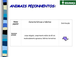 ANIMAIS PEÇONHENTOS: corpo delgado, comprimento médio de 60 cm; moderadamente agressiva; hábitos terrestres   Nome popular Características e hábitos Distribuição Jararaca-pintada     
