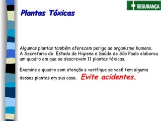 Plantas Tóxicas Algumas plantas também oferecem perigo ao organismo humano.  A Secretaria de  Estado de Higiene e Saúde de São Paulo elaborou  um quadro em que se descrevem 11 plantas tóxicas. Examine o quadro com atenção e verifique se você tem alguma dessas plantas em sua casa.  Evite acidentes. 