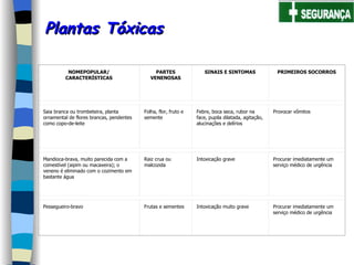 Plantas Tóxicas NOMEPOPULAR/ CARACTERÍSTICAS PARTES VENENOSAS SINAIS E SINTOMAS PRIMEIROS SOCORROS Saia branca ou trombeteira, planta ornamental de flores brancas, pendentes como copo-de-leite Folha, flor, fruto e semente Febre, boca seca, rubor na face, pupila dilatada, agitação, alucinações e delírios Provocar vômitos Mandioca-brava, muito parecida com a comestível (aipim ou macaxeira); o veneno é eliminado com o cozimento em bastante água Raiz crua ou malcozida Intoxicação grave Procurar imediatamente um serviço médico de urgência Pessegueiro-bravo Frutas e sementes Intoxicação muito grave Procurar imediatamente um serviço médico de urgência 