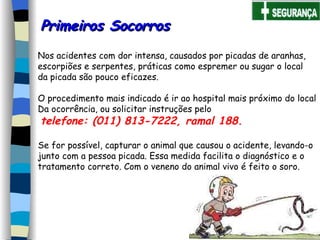 Nos acidentes com dor intensa, causados por picadas de aranhas, escorpiões e serpentes, práticas como espremer ou sugar o local  da picada são pouco eficazes. O procedimento mais indicado é ir ao hospital mais próximo do local Da ocorrência, ou solicitar instruções pelo telefone: (011) 813-7222, ramal 188. Se for possível, capturar o animal que causou o acidente, levando-o  junto com a pessoa picada. Essa medida facilita o diagnóstico e o tratamento correto. Com o veneno do animal vivo é feito o soro. Primeiros Socorros 
