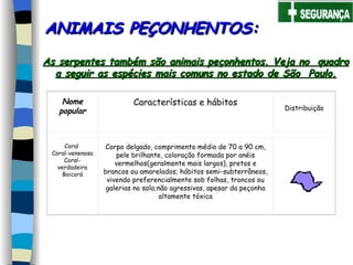 As serpentes também são animais peçonhentos. Veja no  quadro a seguir as espécies mais comuns no estado de São  Paulo. ANIMAIS PEÇONHENTOS: Nome popular Características e hábitos Distribuição Coral   Coral-venenosa Coral-verdadeira Boicorá Corpo delgado, comprimento médio de 70 a 90 cm, pele brilhante, coloração formada por anéis vermelhos(geralmente mais largos), pretos e brancos ou amarelados; hábitos semi-subterrâneos, vivendo preferencialmente sob folhas, troncos ou galerias no solo;não agressivas, apesar da peçonha altamente tóxica 