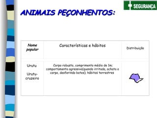 ANIMAIS PEÇONHENTOS: Nome popular Características e hábitos Distribuição Urutu   Urutu-cruzeiro   Corpo robusto, comprimento médio de 1m; comportamento agressivo(quando irritada, achata o corpo, desferindo botes); hábitos terrestres   
