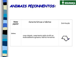 ANIMAIS PEÇONHENTOS: corpo delgado, comprimento médio de 80 cm;  moderadamente agressiva; hábitos terrestres   Nome popular Características e hábitos Distribuição Cotiara     