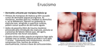 Eruscismo
• Dermatite urticante por mariposa Hylesia sp
• Fêmeas de mariposas de Hylesia sp têm causado
surtos de dermatite papulo pruriginosa. As
mariposas, atraídas pela luz, invadem os domicílios
e, ao se debaterem, liberam no ambiente as
espículas que, atingindo a superfície cutânea,
podem causar quadros de dermatite aguda.
• Ações da peçonha Além do trauma mecânico
provocado pela introdução das espículas, postula-se
a presença de fatores tóxicos que, até agora,
praticamente não foram estudados.
• Quadro clínico Lesões papulo pruriginosas logo após
contato com as cerdas. Intenso prurido e cura após
7-14 dias . Tratamento Anti-histamínicos, via oral,
compressas frias, banhos de amido e,
eventualmente, cremes à base de corticosteróides.
 