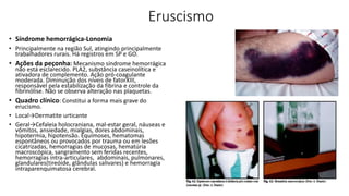 Eruscismo
• Síndrome hemorrágica-Lonomia
• Principalmente na região Sul, atingindo principalmente
trabalhadores rurais. Há registros em SP e GO.
• Ações da peçonha: Mecanismo síndrome hemorrágica
não está esclarecido. PLA2, substância caseinolítica e
ativadora de complemento. Ação pró-coagulante
moderada. Diminuição dos níveis de fatorXIII,
responsável pela estabilização da fibrina e controle da
fibrinólise. Não se observa alteração nas plaquetas.
• Quadro clínico: Constitui a forma mais grave do
erucismo.
• Local→Dermatite urticante
• Geral→Cefaleia holocraniana, mal-estar geral, náuseas e
vômitos, ansiedade, mialgias, dores abdominais,
hipotermia, hipotensão. Equimoses, hematomas
espontâneos ou provocados por trauma ou em lesões
cicatrizadas, hemorragias de mucosas, hematúria
macroscópica, sangramento sem feridas recentes,
hemorragias intra-articulares, abdominais, pulmonares,
glandulares(tireóide, glândulas salivares) e hemorragia
intraparenquimatosa cerebral.
 