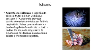 Ictismo
• Acidentes sarcotóxicos→ Ingestão de
peixes e frutos do mar. Os baiacus
possuem TTX, podendo provocar
paralisia consciente e óbito por falência
respiratória. Peixes que se alimentam
do dinoflagelado Gambierdiscus toxicus
podem ter acúmulo progressivo de
ciguatoxina nos tecidos, provocando o
quadro denominado ciguatera.
 