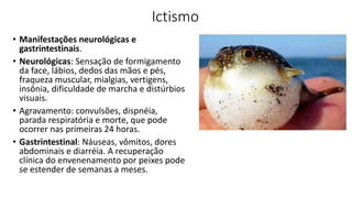 Ictismo
• Manifestações neurológicas e
gastrintestinais.
• Neurológicas: Sensação de formigamento
da face, lábios, dedos das mãos e pés,
fraqueza muscular, mialgias, vertigens,
insônia, dificuldade de marcha e distúrbios
visuais.
• Agravamento: convulsões, dispnéia,
parada respiratória e morte, que pode
ocorrer nas primeiras 24 horas.
• Gastrintestinal: Náuseas, vômitos, dores
abdominais e diarréia. A recuperação
clínica do envenenamento por peixes pode
se estender de semanas a meses.
 