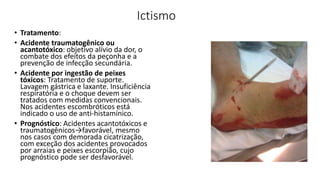 Ictismo
• Tratamento:
• Acidente traumatogênico ou
acantotóxico: objetivo alívio da dor, o
combate dos efeitos da peçonha e a
prevenção de infecção secundária.
• Acidente por ingestão de peixes
tóxicos: Tratamento de suporte.
Lavagem gástrica e laxante. Insuficiência
respiratória e o choque devem ser
tratados com medidas convencionais.
Nos acidentes escombróticos está
indicado o uso de anti-histamínico.
• Prognóstico: Acidentes acantotóxicos e
traumatogênicos→favorável, mesmo
nos casos com demorada cicatrização,
com exceção dos acidentes provocados
por arraias e peixes escorpião, cujo
prognóstico pode ser desfavorável.
 