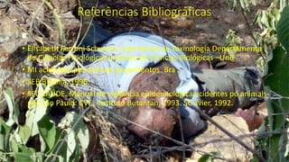 Referências Bibliográficas
• Elisabeth Ferroni Schwartz Laboratório de Toxinologia Departamento
de Ciências Fisiológicas Instituto de Ciências Biológicas –UnB
• MI acidentes por animais peçonhentos. Bra .
• SEB Brasília, 1996.
• SEC SAÚDE. Manual de vigilância epidemiológica acidentes pó animais
peç São Paulo: CVE, lnstituto Butantan, 1993. SC avier, 1992.
 