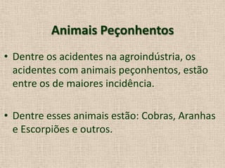 Animais Peçonhentos
• Dentre os acidentes na agroindústria, os
acidentes com animais peçonhentos, estão
entre os de maiores incidência.
• Dentre esses animais estão: Cobras, Aranhas
e Escorpiões e outros.
 