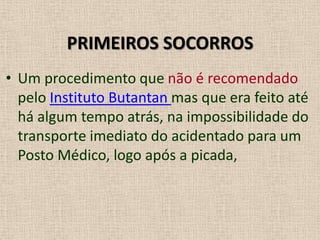 PRIMEIROS SOCORROS
• Um procedimento que não é recomendado
pelo Instituto Butantan mas que era feito até
há algum tempo atrás, na impossibilidade do
transporte imediato do acidentado para um
Posto Médico, logo após a picada,
 