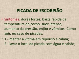PICADA DE ESCORPIÃO
• Sintomas: dores fortes, baixa rápida da
temperatura do corpo, suor intenso,
aumento da pressão, enjôo e vômitos. Como
agir, no caso de picadas:
• 1 - manter a vítima em repouso e calma;
2 - lavar o local da picada com água e sabão;
 