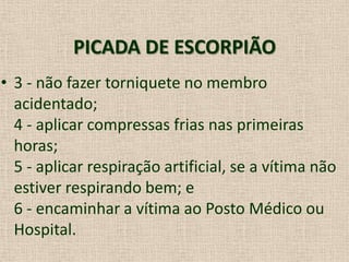 PICADA DE ESCORPIÃO
• 3 - não fazer torniquete no membro
acidentado;
4 - aplicar compressas frias nas primeiras
horas;
5 - aplicar respiração artificial, se a vítima não
estiver respirando bem; e
6 - encaminhar a vítima ao Posto Médico ou
Hospital.
 