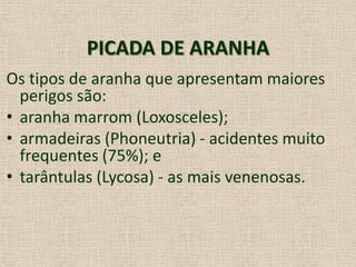 PICADA DE ARANHA
Os tipos de aranha que apresentam maiores
perigos são:
• aranha marrom (Loxosceles);
• armadeiras (Phoneutria) - acidentes muito
frequentes (75%); e
• tarântulas (Lycosa) - as mais venenosas.
 