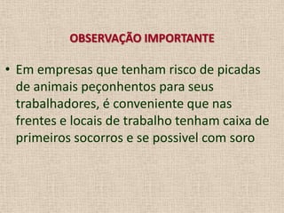 OBSERVAÇÃO IMPORTANTE
• Em empresas que tenham risco de picadas
de animais peçonhentos para seus
trabalhadores, é conveniente que nas
frentes e locais de trabalho tenham caixa de
primeiros socorros e se possivel com soro
 