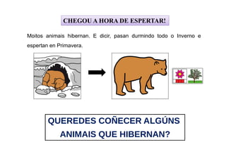 CHEGOU A HORA DE ESPERTAR!
Moitos animais hibernan. E dicir, pasan durmindo todo o Inverno e
espertan en Primavera.
QUEREDES COÑECER ALGÚNS
ANIMAIS QUE HIBERNAN?
 