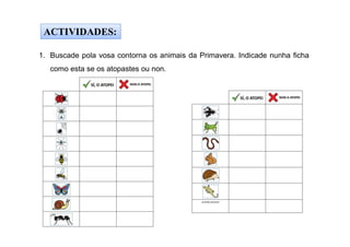 ACTIVIDADES:
1. Buscade pola vosa contorna os animais da Primavera. Indicade nunha ficha
como esta se os atopastes ou non.
 