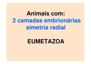 Animais com:
2 camadas embrionárias
simetria radial
EUMETAZOA
 