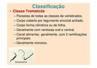 Classificação
• Classe Trematoda
– Parasitas de todas as classes de vertebrados.
– Corpo coberto por tegumento sincicial aciliado.
– Corpo forma cilíndrica ou de folha.
– Geralmente com ventosas oral e ventral.
– Canal alimentar, geralmente, com 2 ramificações
principais.
– Geralmente monoico.
Schistosoma
 