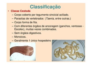 Classificação
• Classe Cestoda
– Corpo coberto por tegumento sincicial aciliado.
– Parasitas de vertebrados (Taenia, entre outras.)
– Corpo forma de fita.
– Com diferentes órgãos de ancoragem (ganchos, ventosas -
Escolex), muitas vezes combinados.
– Sem órgãos digestivos.
– Monoicos.
– Geralmente 1 único hospedeiro
 