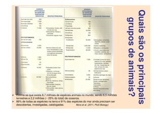Quaissãoosprincipais
gruposdeanimais?
Estima-se que exista 8,7 milhoes de espécies animais no mundo, sendo 6,5 milhões
terrestres e 2,2 milhões (~ 25% do total) de oceanos.
86% de todas as espécies na terra e 91% das espécies do mar ainda precisam ser
descobertas, investigadas, catalogadas. Mora et al. (2011, PloS Biology)
 