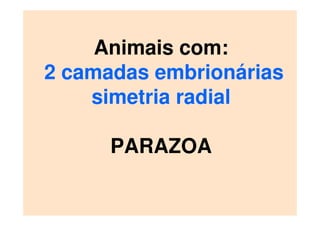 Animais com:
2 camadas embrionárias
simetria radial
PARAZOA
 