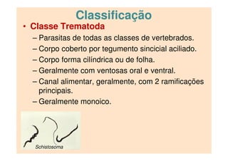 Classificação
• Classe Trematoda
– Parasitas de todas as classes de vertebrados.
– Corpo coberto por tegumento sincicial a...