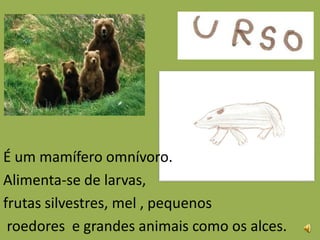 É um mamífero omnívoro.
Alimenta-se de larvas,
frutas silvestres, mel , pequenos
 roedores e grandes animais como os alces.
 