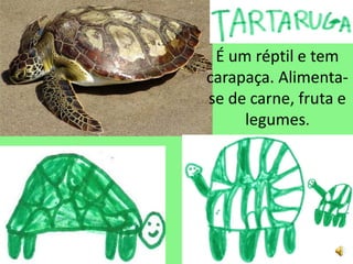 É um réptil e tem
carapaça. Alimenta-
se de carne, fruta e
     legumes.
 