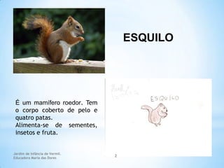 ESQUILO

É um mamífero roedor. Tem
o corpo coberto de pelo e
quatro patas.
Alimenta-se de sementes,
insetos e fruta.

Jardim de Infância de Vermil.
Educadora Maria das Dores

2

 