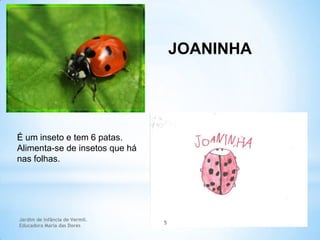 JOANINHA

É um inseto e tem 6 patas.
Alimenta-se de insetos que há
nas folhas.

Jardim de Infância de Vermil.
Educadora Maria das Dores

5

 