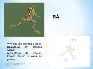 RÃ

Vive em rios, ribeiros e lagos.
Desloca-se
em
grandes
saltos.
Alimenta-se
de
insetos,
lesmas, larvas e ovos de
peixes.
Jardim de Infância de Vermil.
Educadora Maria das Dores

6

 