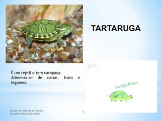 TARTARUGA

É um réptil e tem carapaça.
Alimenta-se de carne, fruta
legumes.

Jardim de Infância de Vermil.
Educadora Maria das Dores

e

7

 