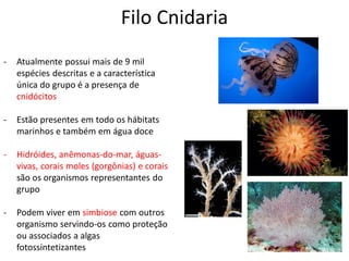 Filo Cnidaria
- Atualmente possui mais de 9 mil
espécies descritas e a característica
única do grupo é a presença de
cnidócitos
- Estão presentes em todo os hábitats
marinhos e também em água doce
- Hidróides, anêmonas-do-mar, águas-
vivas, corais moles (gorgônias) e corais
são os organismos representantes do
grupo
- Podem viver em simbiose com outros
organismo servindo-os como proteção
ou associados a algas
fotossintetizantes
 