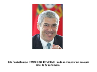 Este horrivel animal (FANTOCHUS  ESTUPIDUS) , pode-se encontrar em qualquer canal de TV portuguesa.  