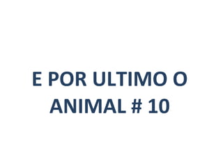 E POR ULTIMO O ANIMAL # 10 