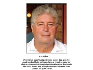 REQUIÃO
(Requianus bucefalus) pertence a classe dos grandes
quadrupedes.Muito perigoso, falso e vingativo pode ser
visto em um canal de televisão pago pelo povo, destilando
seu mau humor e se auto promovendo diante de uma
platéia de puxa sacos
 