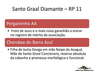 Santo Graal Diamante – RP 11

Pergaminho AA
• Freio de ouro e o mais novo garanhão a entrar
  no registro de mérito da associação.
Cherokee do Barro Azul
• Filha de butia Donga em mãe Naipe do Aceguá.
  Mãe de Santo Graal Cancionero, reserva absoluta
  da cabanha e promessa morfológica e funcional.
 
