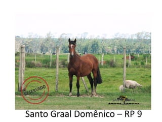 Santo Graal Domênico – RP 9
 