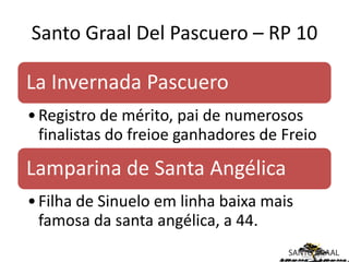 Santo Graal Del Pascuero – RP 10

La Invernada Pascuero
• Registro de mérito, pai de numerosos
  finalistas do freioe ganhadores de Freio

Lamparina de Santa Angélica
• Filha de Sinuelo em linha baixa mais
  famosa da santa angélica, a 44.
 