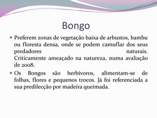 Bongo
 Preferem zonas de vegetação baixa de arbustos, bambu
  ou floresta densa, onde se podem camuflar dos seus
  predadores                                     naturais.
  Criticamente ameaçado na natureza, numa avaliação
  de 2008.
 Os Bongos são herbívoros, alimentam-se de
  folhas, flores e pequenos trocos. Já foi referenciada a
  sua predilecção por madeira queimada.
 