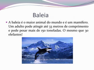 Baleia
 A baleia é o maior animal do mundo e é um mamífero.
 Um adulto pode atingir até 33 metros de comprimento
 e pode pesar mais de 150 toneladas. O mesmo que 30
 elefantes!
 