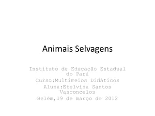 Animais Selvagens
Instituto de Educação Estadual
            do Pará
  Curso:Multimeios Didáticos
    Aluna:Etelvina Santos
          Vasconcelos
  Belém,19 de março de 2012
 