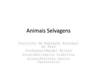 Animais Selvagens
Instituto de Educação Estadual
            do Pará
   Professor:Wander Wilson
  Curso:Multimeios Didáticos
    Aluna:Etelvina Santos
          Vasconcelos
 
