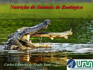 Nutrição de Animais de Zoológico
Carlos Eduardo do Prado Saad
 