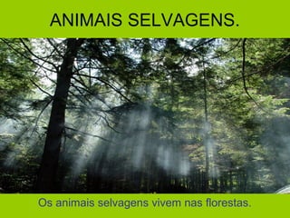 ANIMAIS SELVAGENS.




Os animais selvagens vivem nas florestas.
 