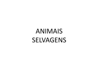 ANIMAIS
SELVAGENS
 