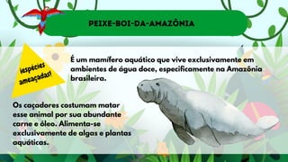 Peixe-Boi-da-Amazônia
¡espécies
ameaçadas!
É um mamífero aquático que vive exclusivamente em
ambientes de água doce, especificamente na Amazônia
brasileira.
Os caçadores costumam matar
esse animal por sua abundante
carne e óleo. Alimenta-se
exclusivamente de algas e plantas
aquáticas.
 