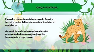 Onça-pintada
É um dos animais mais famosos do Brasil e o
terceiro maior felino do mundo e também o
mais forte
Ao contrário de outros gatos, eles são
ótimos nadadores e caçam jacarés,
tamanduás e capivaras.
 